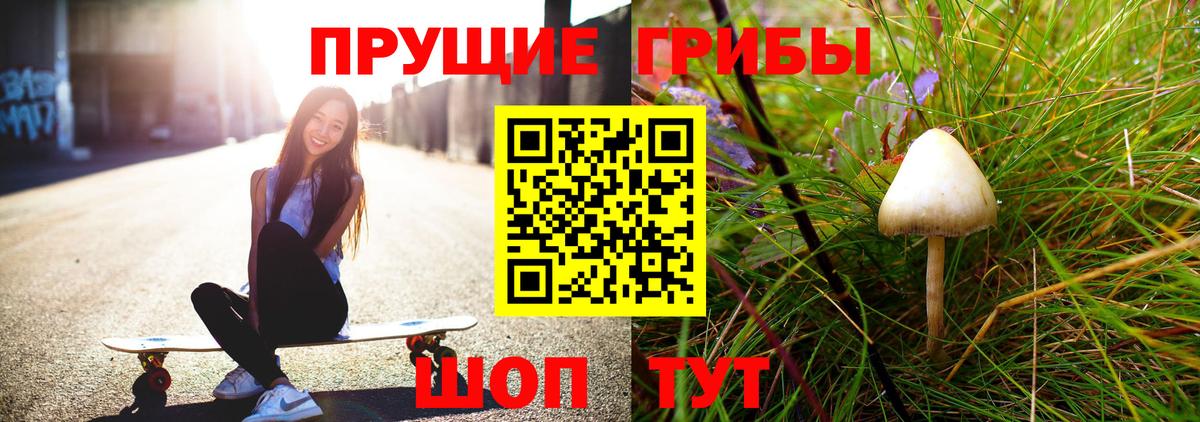 Галлюциногенные грибы MAGIC MUSHROOMS Заводоуковск