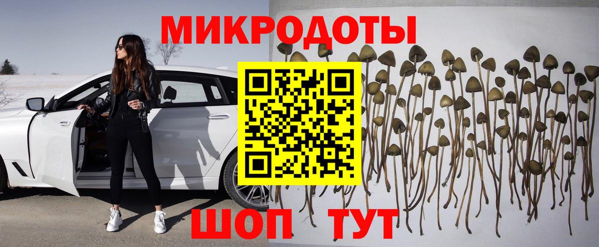 где продают наркотики  Вход с VPN  Псилоцибиновые грибы Psilocybe  Заводоуковск  Псилоцибиновые грибы MAGIC MUSHROOMS 